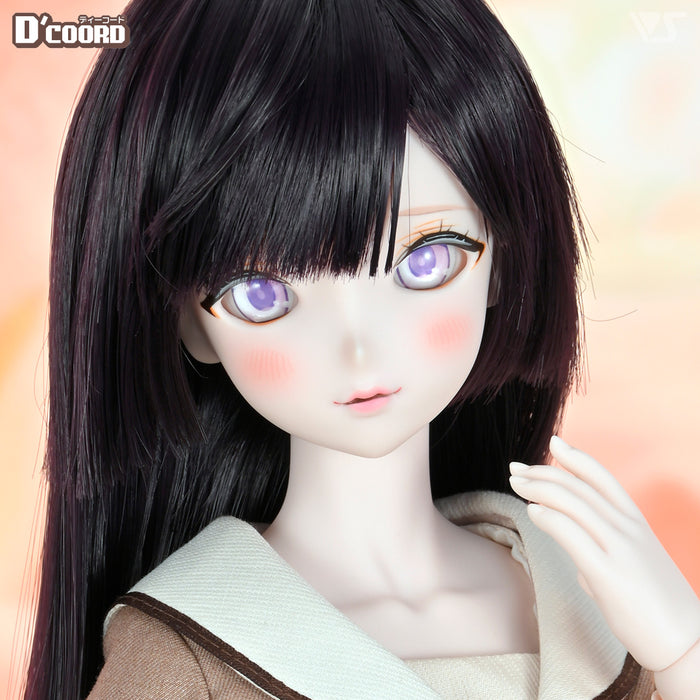 D'COORD DD DDH-31