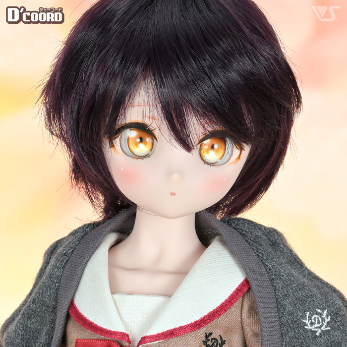 D'COORD MDD DDH-28