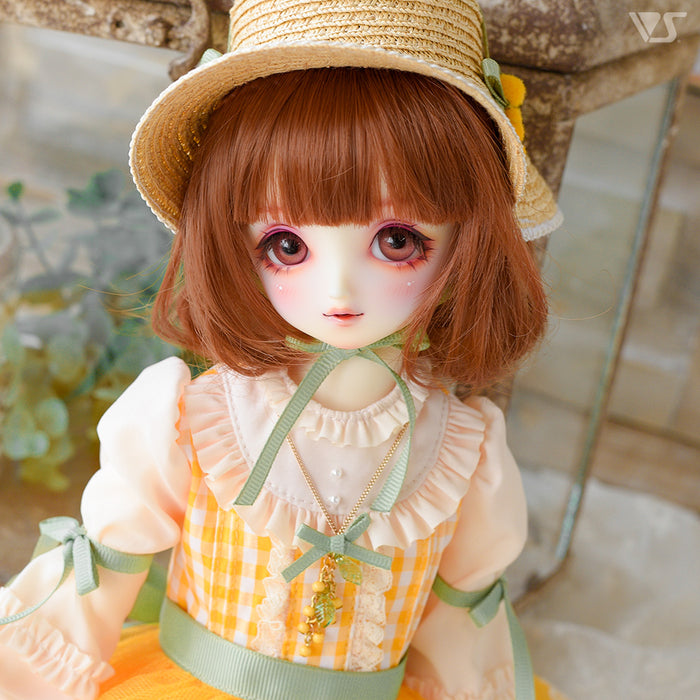 Mimosa Dress Set / Mini