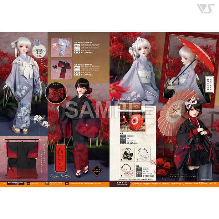Volks News 113