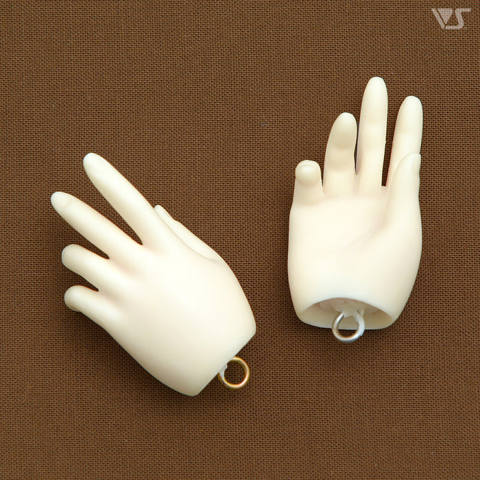 SD Hands