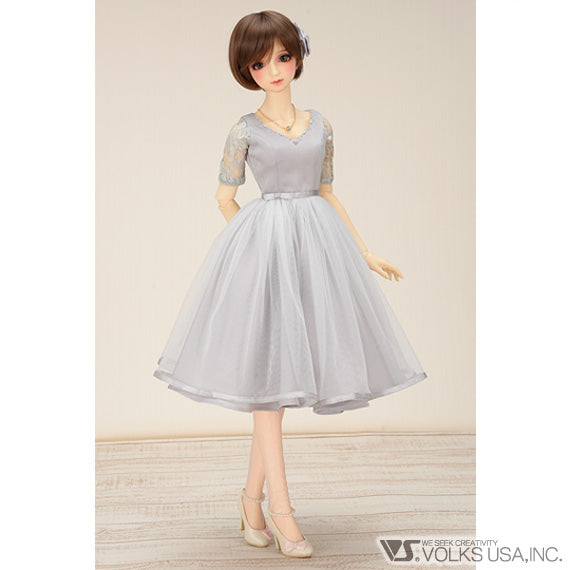 Beauty Pearl Silver Dress Set