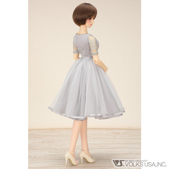 Beauty Pearl Silver Dress Set