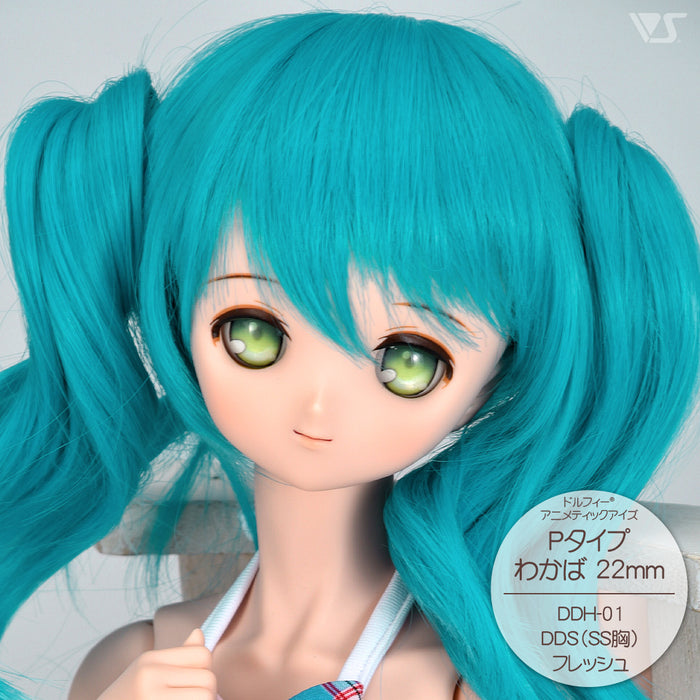 DDH-01 Blank Option Head