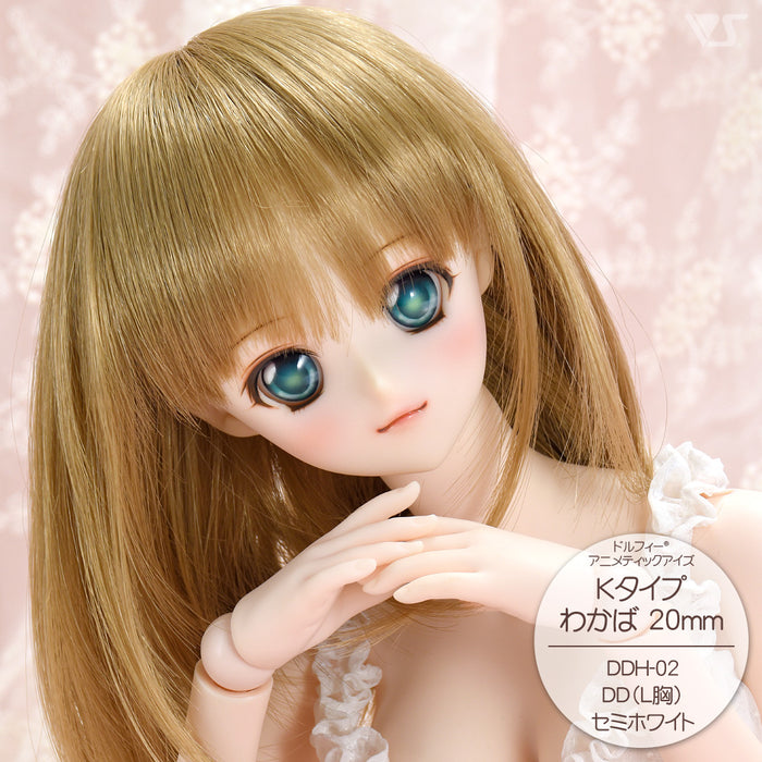 DDH-02 Blank Option Head