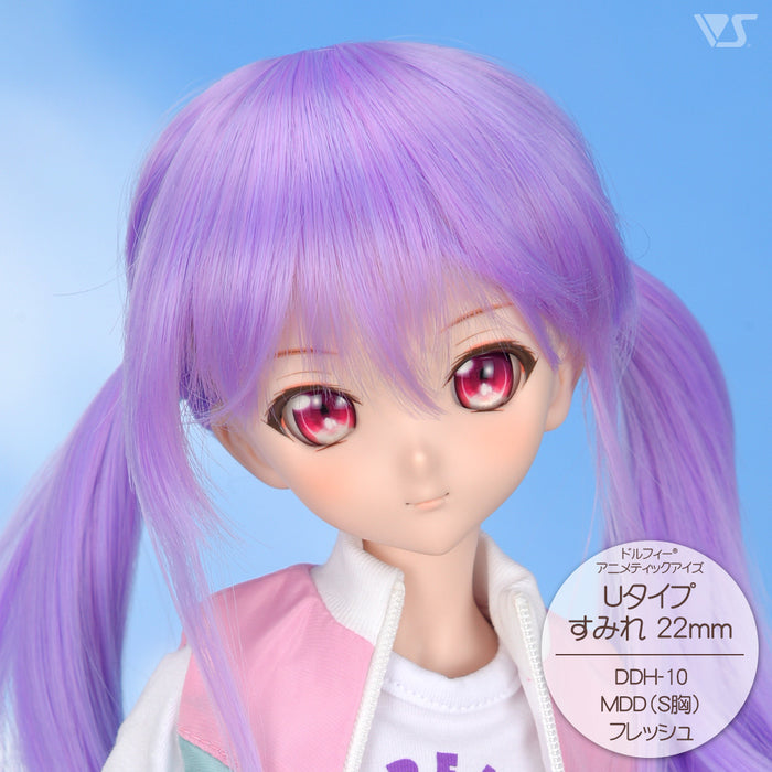 DDH-10 Blank Option Head