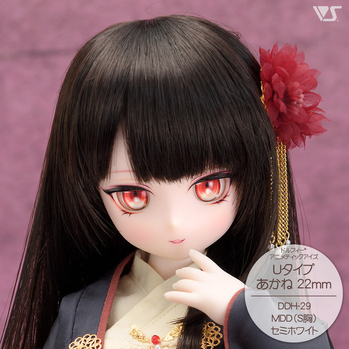 DDH-29 Blank Option Head