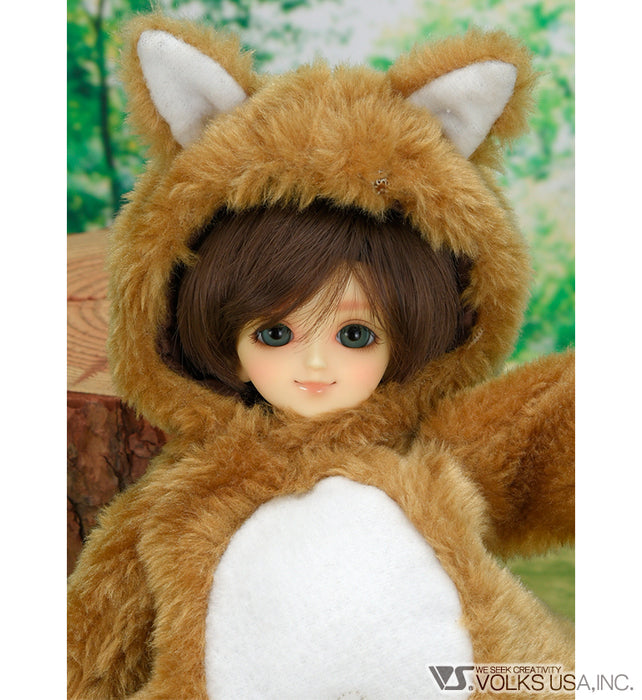 Little Wolf in the Woods
